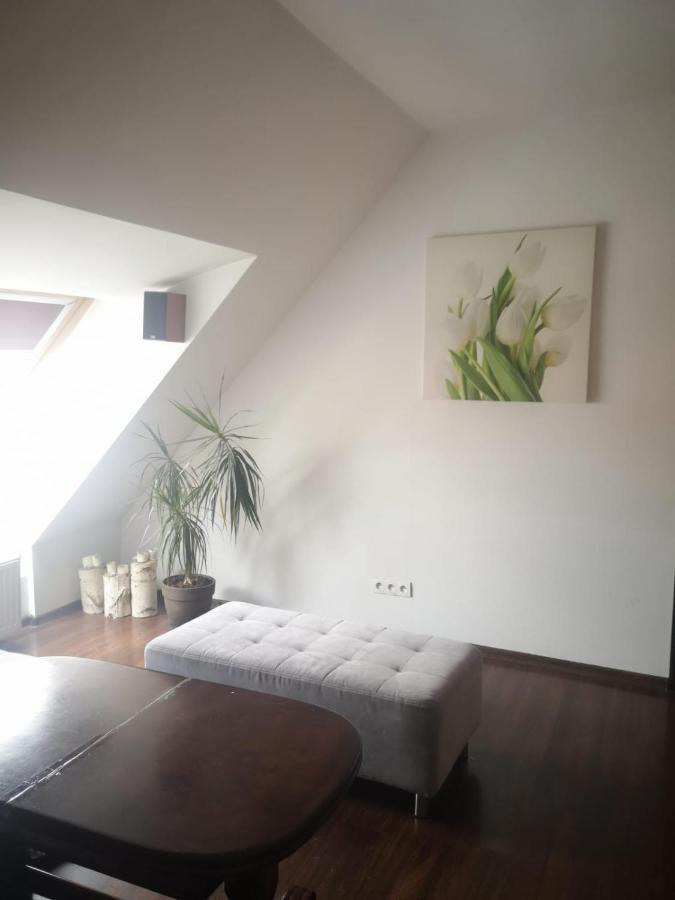 Apartamenty Lena 16 Twoje Poddasze ราชิบูร์ช ภายนอก รูปภาพ
